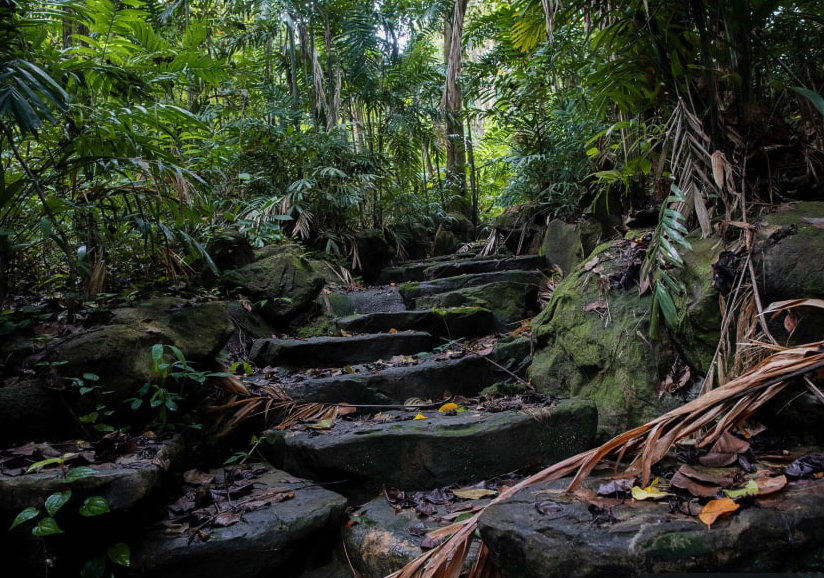 bukit batok hillside park 